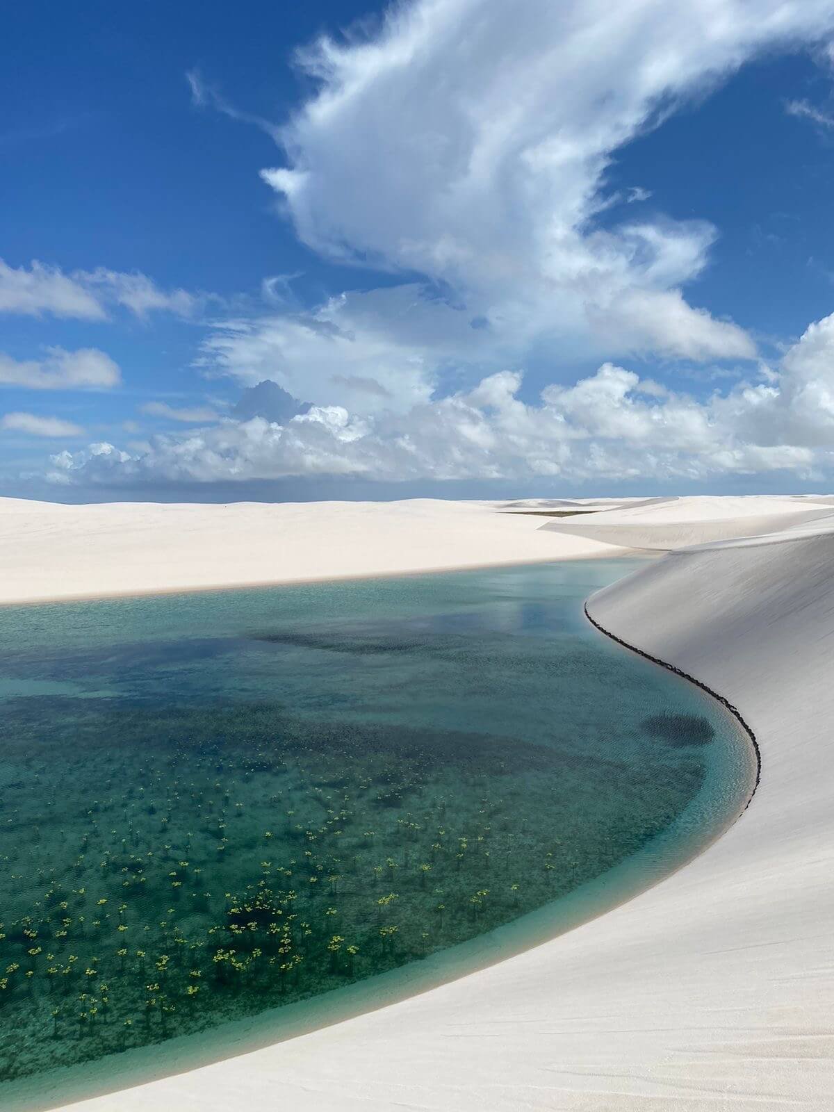 ea60b64b-916f-460d-9a6d-0aa205b272bf (1)