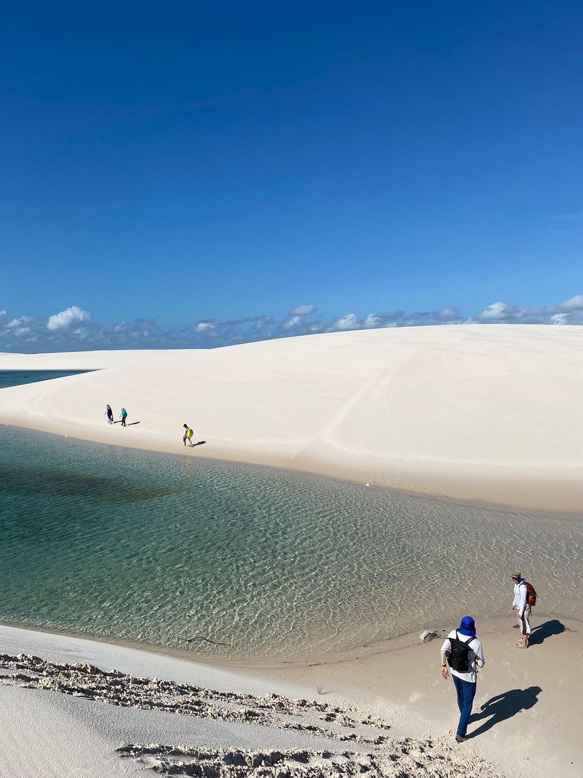 88c3008a-ebae-4828-b2db-1a23049bf27c (1)